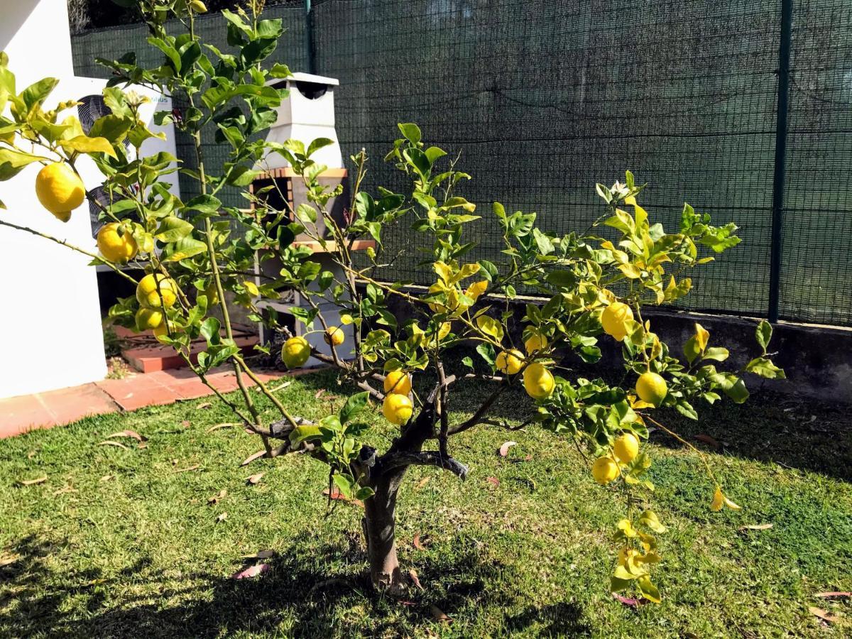Villa Colares ซินตรา ภายนอก รูปภาพ
