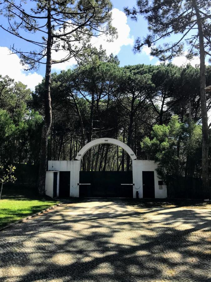 Villa Colares ซินตรา ภายนอก รูปภาพ