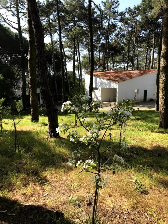Villa Colares ซินตรา ภายนอก รูปภาพ