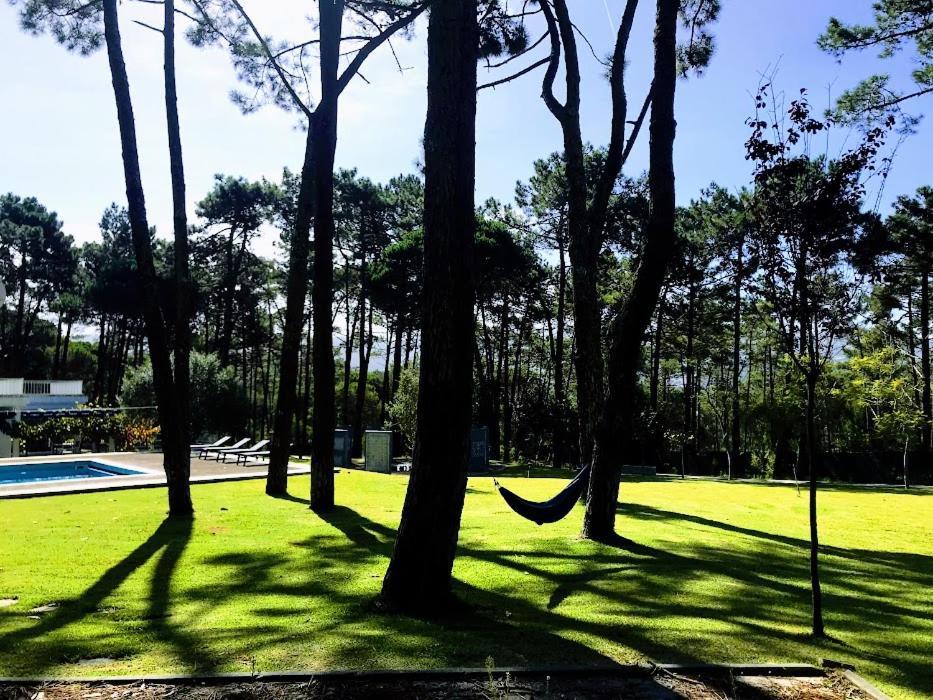 Villa Colares ซินตรา ภายนอก รูปภาพ