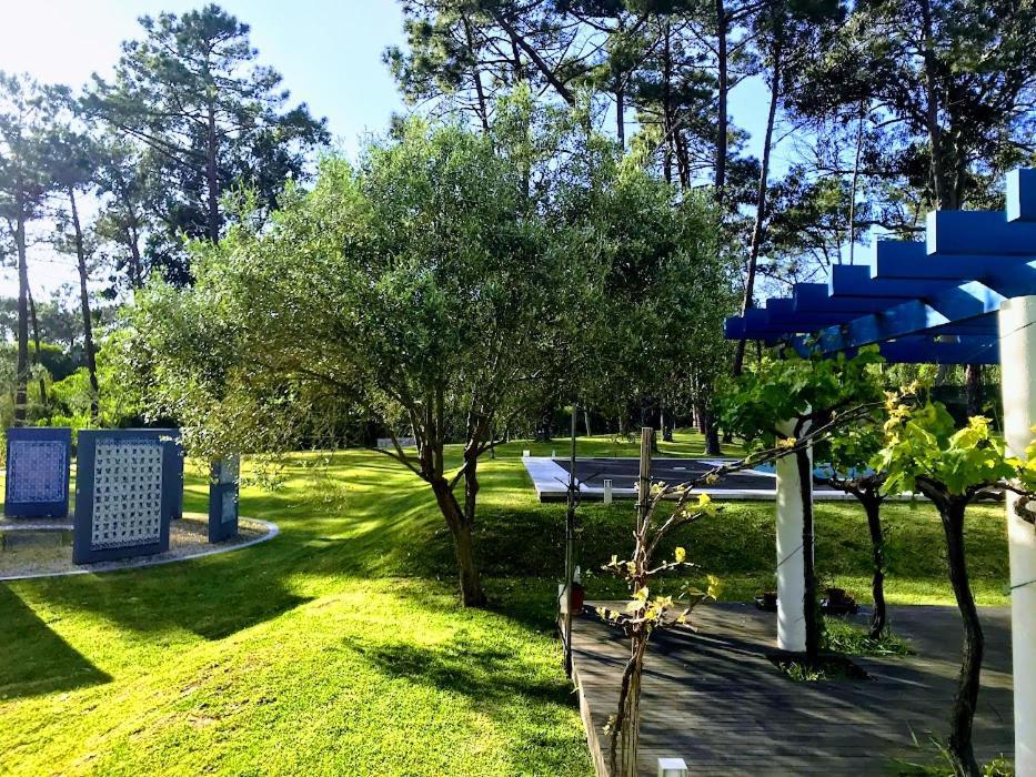 Villa Colares ซินตรา ภายนอก รูปภาพ